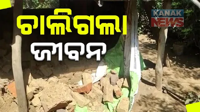 ଆମ୍ବ ଗଛ ଭାଙ୍ଗି ପଡିବାରୁ ଘରର କାନ୍ଥ ପଡି ମହିଳାଙ୍କ ମୃତ : ଅଳ୍ପକେ ବର୍ତ୍ତିଲା ଝିଅ