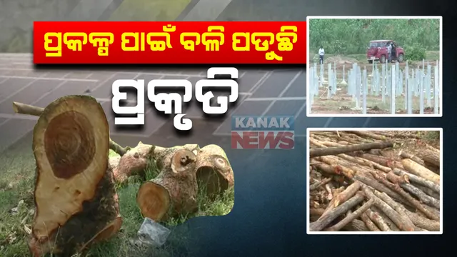 ପ୍ରକଳ୍ପ ପାଇଁ ବଳି ପଡୁଛି ପ୍ରକୃତି : ପ୍ରାକୃତିକ ପରିବେଶକୁ ନଷ୍ଟ କରି ତିଆରି ହେଉଛି ସୋଲାର ପାୱାର ପ୍ଲାଣ୍ଟ