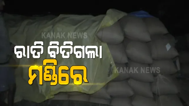 ଧାନ ବିକିବାକୁ କୁଚିଣ୍ଡା ମଣ୍ଡିରେ ରାତି ଅନିଦ୍ରା କୃଷକ । ପ୍ରଶାସନନର ଉଦାସିନତା ଯୋଗୁଁ ମଣ୍ଡିରୁ ଉଠୁନି ଧାନ । ଖୋଲା ଆକାଶ ତଳେ ପଡି ରହିଛି କ୍ୱିଣ୍ଟାଲ କ୍ୱିଣ୍ଟାଲ ଧାନ 
