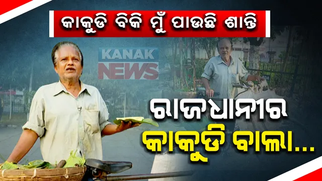 ବୁଢା ବୟସରେ ବୁଲିବୁଲି ରାଜଧାନୀରେ କାକୁଡି ବିକୁଛନ୍ତି କଳାକାର । ବେପାର କରି ପଇସା ନୁହେଁ ପାଉଛନ୍ତି ଖୁସି ।