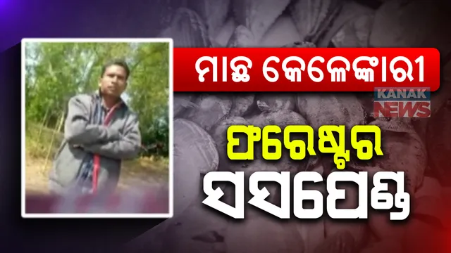 ରାଜନଗର ଗହୀରମଥାରେ ମାଛ କେଳେଙ୍କାରୀ ପ୍ରସଙ୍ଗ : ଗହୀରମଥା ଫରେଷ୍ଟର ପ୍ରଫୁଲ୍ଲ ମାଝୀ ସସପେଣ୍ଡ 