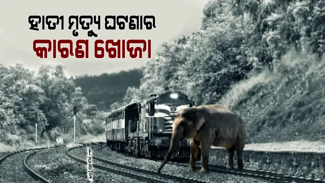 ସମ୍ବଲପୁରରେ ଟ୍ରେନ ଧକ୍କାରେ ହାତୀ ମୃତ୍ୟୁ ଘଟଣା । ରେଳ ବିଭାଗକୁ ଚିଠି ଲେଖି ତଥ୍ୟ ମାଗିଲା ବନ ବିଭାଗ । 