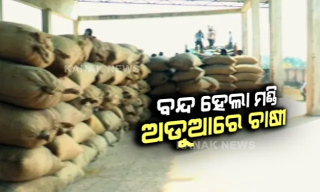 ବନ୍ଦ ହେଲା ମଣ୍ଡି, ଅଡୁଆରେ ଚାଷୀ । ମିଲର ଓ ଲ୍ୟାମ୍ପସ କର୍ମଚାରୀଙ୍କ ମଧୁଚନ୍ଦ୍ରିକା ପାଇଁ ହିନସ୍ତା ହେଲେ ଅନ୍ନଦାତା ।