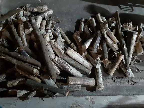 କଟକ ଡାଳିଯୋଡା ଜଙ୍ଗଲରୁ ୭୦ ଲକ୍ଷର ଚନ୍ଦନ କାଠ ଜବତ : ୩ଜଣଙ୍କୁ ଗିରଫ କଲା ଏସଟିଏଫ୍