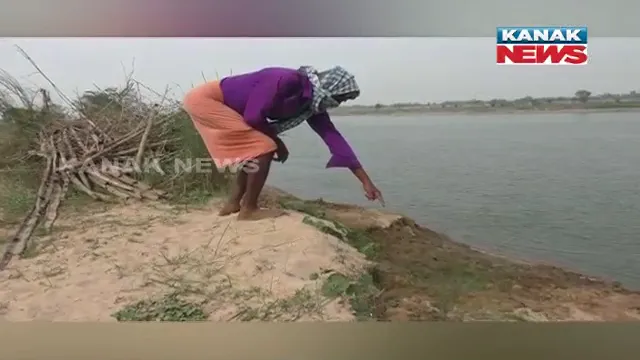 କୂଳ ଲଂଘୁଛି ନଦୀ । ନଦୀ ଗର୍ଭରେ ଲୀନ ହେବାକୁ ବସିଛି ଶହ ଶହ ହେକ୍ଟର ଚାଷଜମି