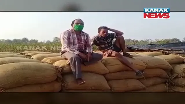 ମଣ୍ଡିରେ ପଡିଛି ଧାନ, କିଣୁନାହାନ୍ତି ମିଲର । ଧର୍ମଗଡରୁ ଆସିଛି ଧାନମଣ୍ଡରେ ସମସ୍ୟା ଖବର । ଚାଷୀ କହିଲେ, ଖରିଫ ଧାନ ବିକ୍ରି ନହଲେ ରବି ଧାନ ଚାଷ ହେବ କେମିତି?