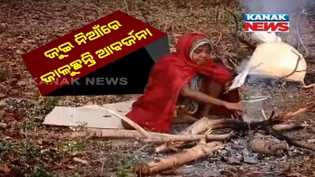 ମଶାଣି ଓ ରାଜପଥ କଡରେ ପଡିରହିଛନ୍ତି ଦୁଇ ମାନସିକ ବିକାରଗ୍ରସ୍ତ ରୋଗୀ । ଖାଇବାକୁ ଦାନା ମୁଠେ ମିଳୁନି, ପ୍ରବଳ ଶୀତକୁ ଚାଦରଟିଏ ବି ନାହିଁ 