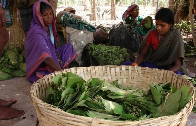 କେନ୍ଦୁପତ୍ର ତୋଳାଳୀଙ୍କୁ ନୂଆ ବର୍ଷ ଭେଟି । ୯୨.୩୭ କୋଟି ଟଙ୍କାର ସହାୟତା ରାଶି ଘୋଷଣା କଲେ ମୁଖ୍ୟମନ୍ତ୍ରୀ । 