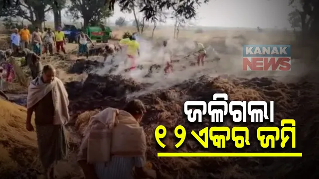 ୧୨ ଏକର ଜମିର ଧାନଫସଲ ପୋଡି ପାଉଁଶ: ସର୍ଟସର୍କିଟ ଯୋଗୁଁ ଅଗ୍ନିକାଣ୍ଡ ହୋଇଥିବା ସୂଚନା; ନିଆଁକୁ ଆୟତ୍ତ କଲେ ଅଗ୍ନିଶମ ବାହିନୀ କର୍ମଚାରୀ