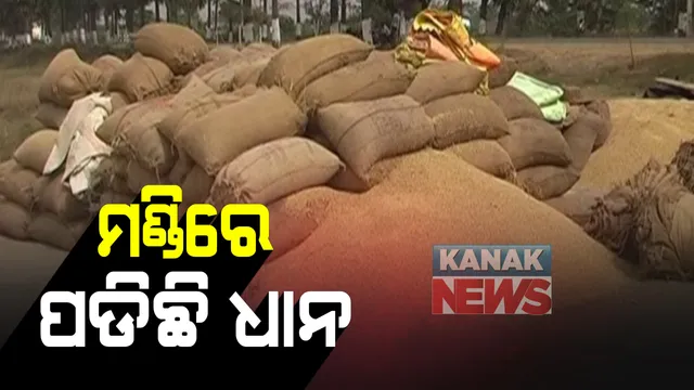 କିଣା ହୋଇପାରୁନି ଧାନ: ଜୟପୁର ମଣ୍ଡିରେ ଗଦା ହୋଇଛି ହଜାର ହଜାର ବସ୍ତା ଧାନ; ଶୀତ କାକରରେ ବର୍ଷକର ପରିଶ୍ରମକୁ ଜଗି ରହିଛି ଚାଷୀ
