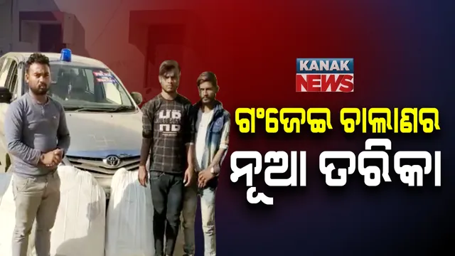 ଧରାପଡିଲା ଗଂଜେଇ ଚାଲାଣକାରୀଙ୍କ କଳାକାରନାମା: ପୋଲିସ ଆଖିରେ ଧୂଳି ଦେବାକୁ ନୀଳବତି ଗାଡିରେ କରୁଥିଲେ ଚୋରା ଚାଲାଣ; ପର୍ଦ୍ଦାଫାଶ କଲା ମାଲକାନଗିରି ପୋଲିସ