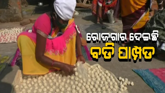 ବଡି ପାମ୍ପଡ ବି ଦେଇପାରେ ରୋଜଗାର । ଝାରସୁଗୁଡା ଲହଣ୍ଡାବୁଡ ଏସଏଚଜି ମହିଳା ହେଉଛନ୍ତି ଲାଭବାନ । ଅନ୍ୟମାନଙ୍କ ପାଇଁ ସାଜିଛନ୍ତି ଉଦାହରଣ ।