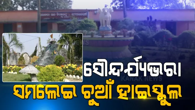 ଭାରି ସୁନ୍ଦର ଦିଶୁଛି ସମଲେଇ ଚୁଆଁ ହାଇସ୍କୁଲ । ରଙ୍ଗବେରଙ୍ଗର ଫୁଲଗଛ ସହ ବିଦ୍ୟାଳୟ ଅଗଣାରେ ଝରଣା ଯାଉଛି ବହି ।