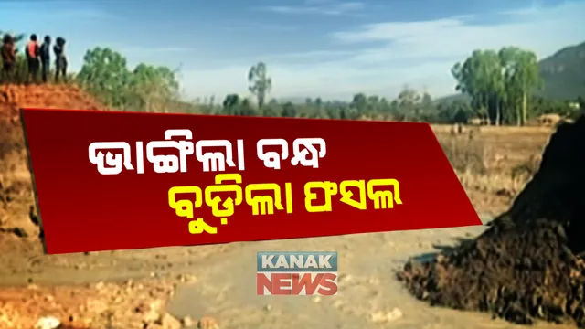ରାତି ଅଧରେ ଭାଙ୍ଗିଲା କେନାଲ । ସୃ୍ଷ୍ଟି ହେଲା ଘାଇ । ଭାସିଗଲା ଫସଲ, ରାତି ଉଜାଗର ରହି ଜଗି ରହିଲେ ଗ୍ରାମବାସୀ