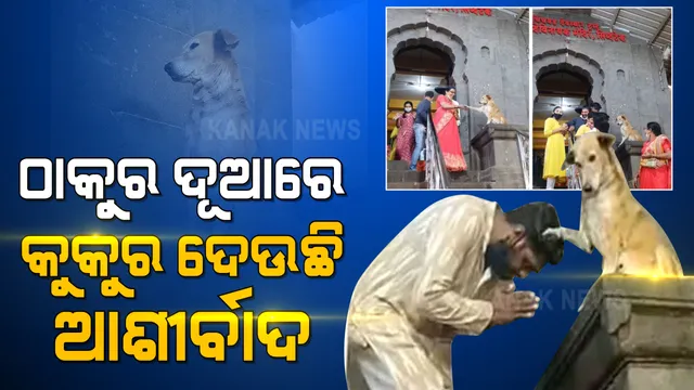 ଠାକୁର ଦୂଆରେ କୁକୁର ଦେଉଛି ଆଶୀର୍ବାଦ । ମନ୍ଦିର ସାମ୍ନାରୁ ଭାଇରାଲ ହେଉଛି କୁକୁରର ଭିଡିଓ । 