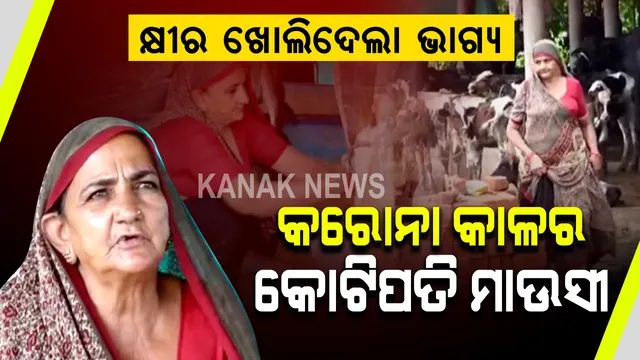 କରୋନା କାଳର କୋଟିପତି ମାଉସୀ । କ୍ଷୀର ଖୋଲିଦେଲା ଭାଗ୍ୟ, କ୍ଷୀର ବିକି କୋଟିପତି ବନିଲେ ୬୨ ବର୍ଷର ବୁଢୀ ମା’ ।