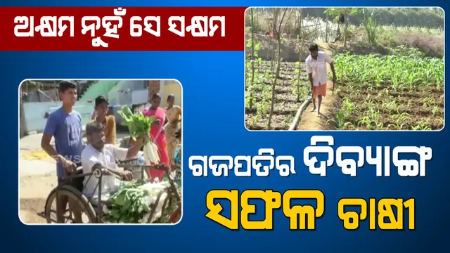 ଭିନ୍ନ ଭାବେ ସକ୍ଷମ ଗଜପତିର ହରିଶ୍ଚନ୍ଦ୍ର: ଦିବ୍ୟାଙ୍ଗ ହୋଇବି ପରିବା ଚାଷ କରି ନିଜ ପାଇଁ ତିଆରି କରିଛନ୍ତି ସ୍ୱତନ୍ତ୍ର ପରିଚୟ