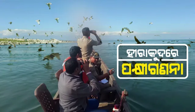 ହୀରାକୁଦରେ ପକ୍ଷୀ ଗଣନା : ଜଙ୍ଗଲ ବିଭାଗର ୩ଟି ଡିଭିଜନର ୨୧ଟି ଟିମ୍ ସାମିଲ; ଚଳିତ ବର୍ଷ ହୀରାକୁଦକୁ ଆସିଛନ୍ତି ଅଧିକ ବିଦେଶୀ ପକ୍ଷୀ 
