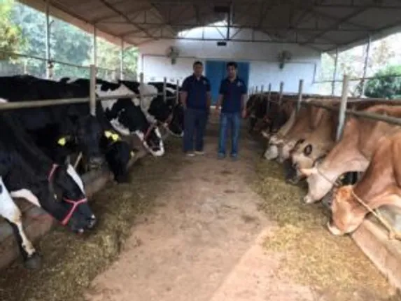 ଚାକିରି ଛାଡିଲେ, ଡାଏରୀ ଫାର୍ମ କଲେ । ନିଜେ ଆତ୍ମନିର୍ଭର ହେବା ସହ ୨୦ ଜଣଙ୍କୁ ଦେଇପାରିଛନ୍ତି ରୋଜଗାର