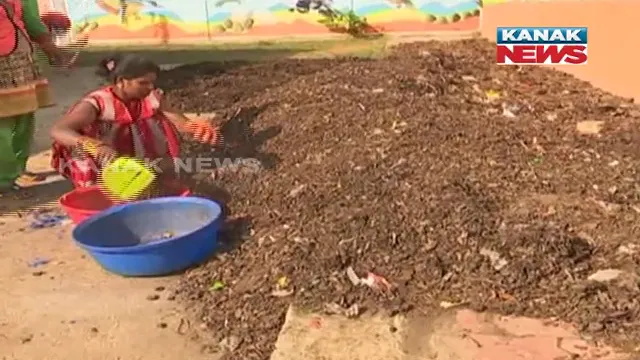 ରାସ୍ତା କଡରେ ଆଉ ଦେଖିବାକୁ ମିଳିବ ନାହିଁ ଅଳିଆ ଗଦା । ଜୟପୁର ପୌରପାଳିକାର ଅଭିନବ ପ୍ରୟାସ । ଅଳିଆରୁ ପ୍ରସ୍ତୁତ ହେଉଛି ଜୈବିକ ଖତ ।