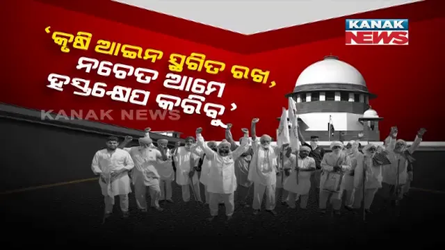 ଚାଷୀ ଆନ୍ଦୋଳନରେ ନୂଆ ମୋଡ । କୃଷି ଆଇନକୁ ସ୍ଥଗିତ ରଖିବା ପାଇଁ କେନ୍ଦ୍ରକୁ କହିଲେ ସୁପ୍ରିମକୋର୍ଟ, ନହେଲେ କରିବେ ହସ୍ତକ୍ଷେପ । 