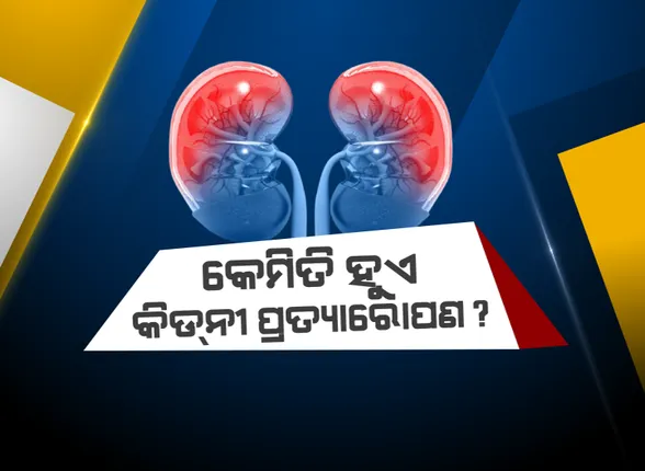 କେମିତି ହୁଏ କିଡନୀ ପ୍ରତ୍ୟାରୋପଣ ? କ’ଣ ରହିଛି ଅଙ୍ଗ ପ୍ରତ୍ୟାରୋପଣ ନିୟମ ? ଜାଣନ୍ତୁ କିଡନୀ ଦଲାଲଙ୍କଠୁ ବର୍ତ୍ତିବେ କେମିତି...
