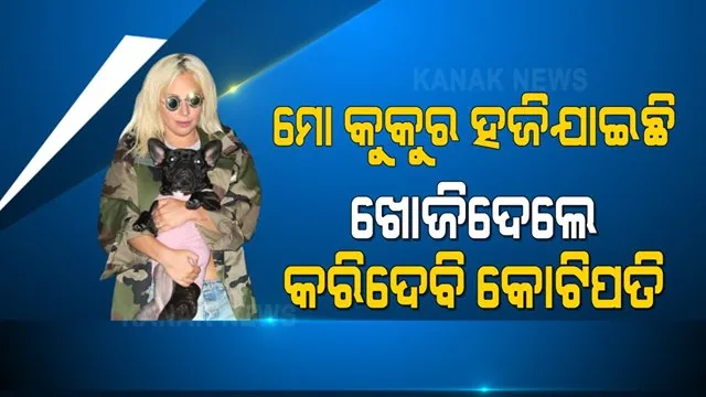 କୁକୁର ପାଇଁ ପୁରଷ୍କାର ରାସି । ଖୋଜିଆଣିଲେ ମିଳିବ ୩ କୋଟି, ଲେଡି ଗାଗାଙ୍କ ଏହି ୱେବସାଇଟରେ ଦିଅନ୍ତୁ ସୂଚନା 