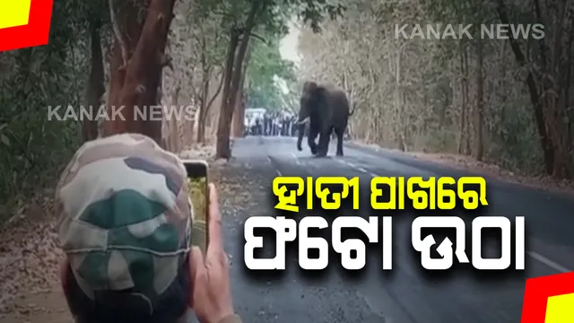 ରାସ୍ତାରେ ବୁଲୁଛି ହାତୀ : ଜୀବନକୁ ବିପଦରେ ପକାଇ ଅତି ପାଖରୁ ଫଟୋ ଉଠାଉଛନ୍ତି ଲୋକ