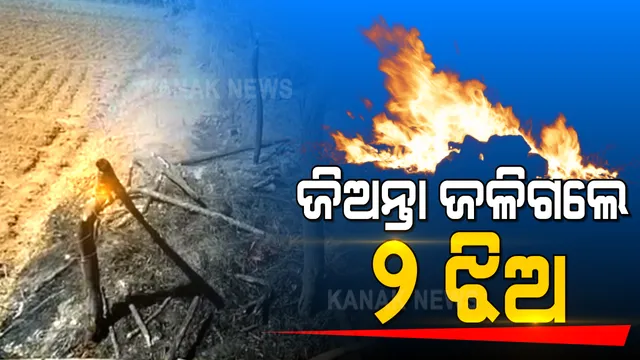 ରାୟଗଡା ଜିଲ୍ଲା କାଶୀପୁର ବ୍ଲକ ଲାକ୍ରିଶ ଗାଁରେ ଅଭାବନୀୟ ଘଟଣା । ପାଳ କୁଡିଆରେ ନିଆଁଲାଗି ୨  ଶିଶୁ ଜୀବନ୍ତ ଦଗ୍ଧ