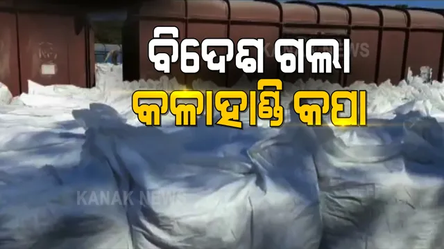 ବିଦେଶ ଗଲା କଳାହାଣ୍ଡି କପା । ଟ୍ରେନ ଯୋଗେ ଜୁନାଗଡ ଷ୍ଟେସନରୁ ବାଂଲାଦେଶ ଗଲା ଧଳା ସୁନା । ଚାଷୀ, ଶ୍ରମିକ ଓ ବ୍ୟବସାୟୀଙ୍କ ମଧ୍ୟରେ ଖୁସିର ଲହରି ।