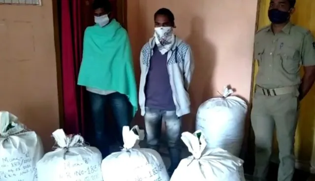 ମଙ୍ଗୁଳି ଛକରୁ ଜବତ ହେଲା ୧୦୫ କେଜି ଗଞ୍ଜେଇ । ୨ ଅଭିଯୁକ୍ତ ଅଟକ ।