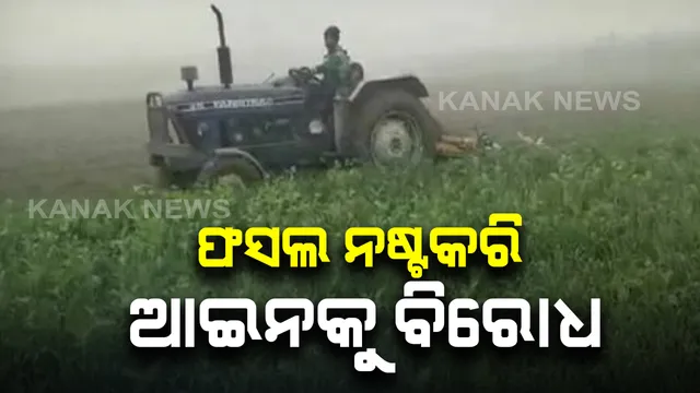 ଚାଷୀ ଆନ୍ଦୋଳନ ସମର୍ଥନରେ ଅଭିନବ ପ୍ରତିବାଦ, ୫ ଏକର ଫସଲ ନଷ୍ଟ କଲେ ୟୁପିର ଜଣେ ଚାଷୀ । ଭିଡିଓ ହେଉଛି ଭାଇରାଲ