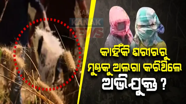 ଅନ୍ଧାରୁଆ-ଦାସପୁରରେ ମହିଳାଙ୍କ ମୁଣ୍ଡକାଟି ହତ୍ୟା କରିବା ଘଟଣା : କାହିଁକି ଶରୀରରୁ ମୁଣ୍ଡକୁ ଅଲଗା କରିଥିଲେ ଅଭିଯୁକ୍ତ ? ହତ୍ୟା ଉପରୁ ରହସ୍ୟ ଉଠାଇବ ପୋଲିସ