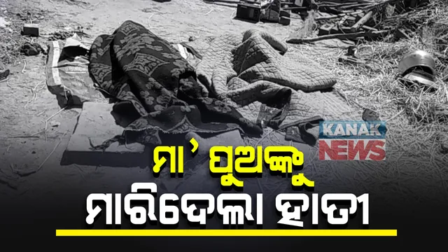 ହାତୀ ଆକ୍ରମଣରେ ମା’ ପୁଅ ମୃତ, ବାପା ଗୁରୁତର : ଗୁରୁତର ବାପାଙ୍କୁ କଟକ ବଡ ମେଡିକାଲ ସ୍ଥାନାନ୍ତର