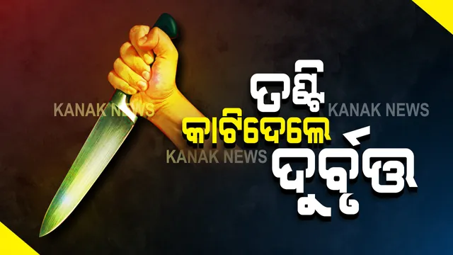 ଗାଧୋଇବାକୁ ଯାଇଥିବା ଯୁବକର ତଣ୍ଟି କାଟିଦେଲେ ଦୁର୍ବୃତ୍ତ : ଭଞ୍ଜନଗର ଥାନା ମୁଜାଗଡ ଗାଁରେ ଅଘଟଣ