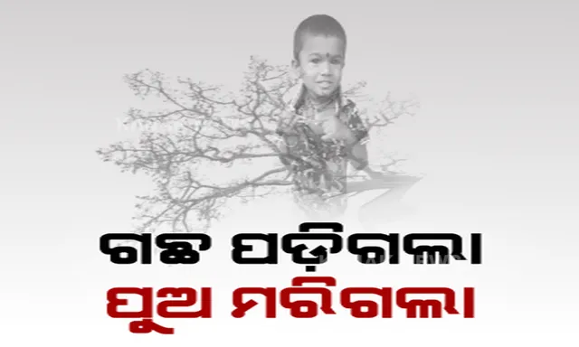 ଯାଜପୁର ଜିଲ୍ଲା ଯୋଡିକୁଅ ଛକରେ ଚଳନ୍ତା ବାଇକ୍ ଉପରେ ପଡିଲା ଗଛ । ଜଣେ ୫ ବର୍ଷର ନାବାଳକର ମୃତ୍ୟୁ ।