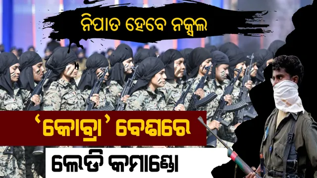 ମାଓବାଦୀଙ୍କ ମୃତ୍ୟୁ ସାଜି ଆସୁଛନ୍ତି ମହିଳା କମାଣ୍ଡୋ । ଘଞ୍ଚ ଜଙ୍ଗଲରେ ଖୋଜି ଖୋଜି ନକ୍ସଲଙ୍କୁ କରିବେ ନିପାତ । ମାଟି ମାଆର ସୁରକ୍ଷା ପାଇଁ ସିଏଆରପିଏଫରେ ସାମିଲ ହେଲା ନାରୀଶକ୍ତି ।