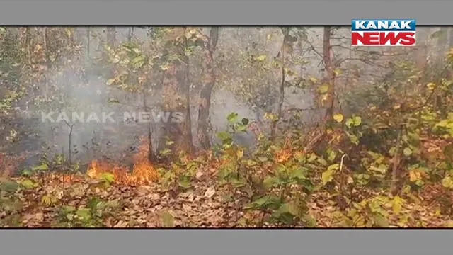 ଜଙ୍ଗଲ ନିଆଁରେ ପୋଡିଗଲେ ରାସ୍ତାରେ ଯାଉଥିବା ୫ ଜଣ ଯାତ୍ରୀ । ଅଚାନକ ପବନ ବହିବା ଯୋଗୁଁ ମାଡି ଆସିଥିଲା ନିଆଁ ଓ ଧୂଆଁ ।