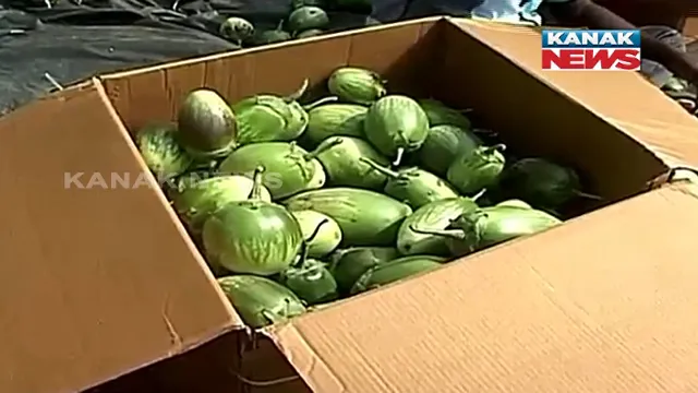 ପନିପରିବା ସାଇତି ରଖିବା ପାଇଁ ନାହିଁ ଶୀତଳ ଭଣ୍ଡାର । ବ୍ୟବସାୟୀଙ୍କୁ ପରିବା ବିକି କ୍ଷତି ସହୁଛନ୍ତି ସୁନ୍ଦରଗଡ ନୂଆଗାଁ ଅଂଚଳର ଚାଷୀ ।