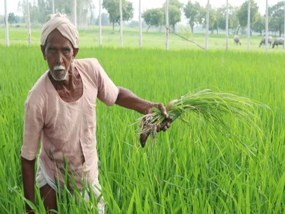 ପିଏମ କିଷାନ ଯୋଜନାରୁ ବାଦ ପଡିବେ ୩୩ ଲକ୍ଷ ଅଯୋଗ୍ୟ ହିତାଧିକାରୀ । ପାଇଥିବା ଟଙ୍କା ଫେରସ୍ତ ନେବାକୁ କେନ୍ଦ୍ର ସରକାରଙ୍କ ପ୍ରୟାସ । ଅଯୋଗ୍ୟଙ୍କ ନାମରେ ରୁଜୁ ହେବ ମାମଲା