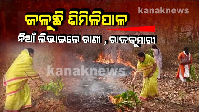 ଜଳୁଛି ଶିମିଳିପାଳ : ଲିଭିବାର ନାଁ ଧରୁନି ; ନିଆଁକୁ ଆୟତ୍ତ କରିବାକୁ ଚେଷ୍ଟା କଲେ ମୟୁରଭଞ୍ଜ ମହାରାଣୀ ଓ ରାଜକୁମାରୀ