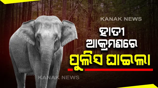 ପୁଲିସ ବାବୁଙ୍କୁ ମରଣାନ୍ତକ ଆକ୍ରମଣ କଲା ଦନ୍ତା : ଢେଙ୍କାନାଳ ଜିଲ୍ଲା ତୁମୁସିଙ୍ଗା ଥାନା କର୍ମଚାରୀ ହୃଷିକେଶ ନାୟକ ଗୁରୁତର