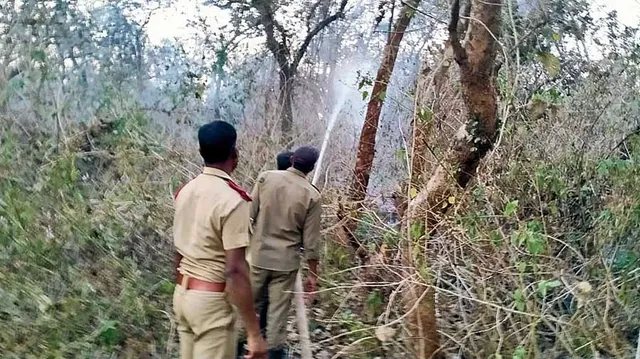 କେମିତି ରହିଛି ଜଙ୍ଗଲ ସ୍ଥିତି? ରିପୋର୍ଟ ଦେଲେ ଟାସ୍କ ଫୋର୍ସ ମୁଖ୍ୟ । ଜାଣିବା ପାଇଁ ପଢନ୍ତୁ...