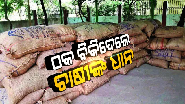 ଠକ ବିକିଦେଲେ ଚାଷୀଙ୍କ ଧାନ । ଜାଲ୍ କାଗଜପତ୍ରରେ ସଂପର୍କୀୟ ଦର୍ଶାଇ ନିରୀହ ଆଦିବାସୀଙ୍କ ଧାନ ବିକିଦେଲେ ଦଲାଲ ।