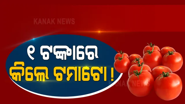 ଆରମ୍ଭ ହେଲା ଟମାଟୋର ଅଭାବୀ ବିକ୍ରି । କୁଚିଣ୍ଡାରେ କିଲୋ ୫ଟଙ୍କା, ସୁନ୍ଦରଗଡ଼ରେ ୧ ଟଙ୍କାରେ ମିଳୁଛି କିଲେ ଟମାଟୋ