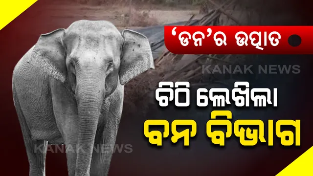 ଦନ୍ତାହାତୀ 'ଡନ'ର ଉତ୍ପାତ ପରେ ବନ ବିଭାଗର ତତ୍ପରତା : ୱାଇଲ୍ଡ ଲାଇଫ୍ ପିସିସିଏଫକୁ ଚିଠି ଲେଖିଲେ ସମ୍ବଲପୁର ଡ଼ିଏଫଓ