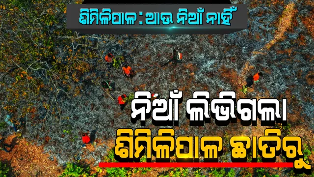 ଅଗ୍ନିର ଆଁରୁ ମୁକୁଳିଲା ଶିମିଳିପାଳ। ନିଆଁ ଲିଭିଲା, ନିସ୍ତାର ମିଳିଲା।  ଜଙ୍ଗଲୀ ନିଆଁ ଲିଭିବା ପରେ ଜୀବନ ଫେରିପାଇଲା ଶିମିଳିପାଳ। ସ୍ୱର ସାଜିଥିଲା କନକ ନ୍ୟୁଜ, ସଫଳ ହେଲା #SaveSimilipal ଅଭିଯାନ