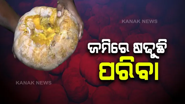 କଟକ ଜିଲ୍ଲା ନିଆଳି ଅଂଚଳରେ ପରିବା ଚାଷୀଙ୍କ ମୁଣ୍ଡରେ ଚଡକ : ଉତ୍ପାଦନ ପରେ ଅଭାବି ବିକ୍ରିର ସମ୍ମୁଖୀନ ହୋଇଛନ୍ତି ଚାଷୀ