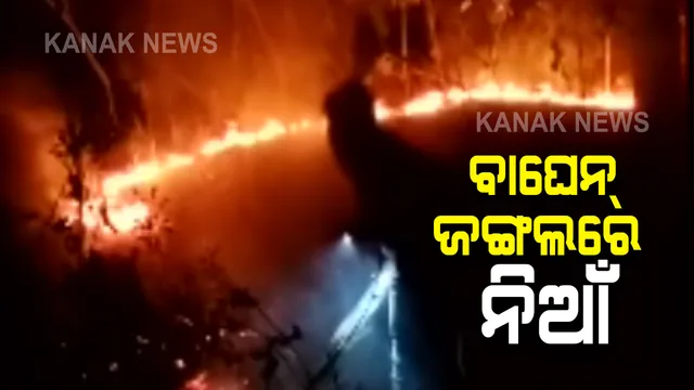 ବଲାଙ୍ଗୀର ଖପ୍ରାଖୋଲ ବ୍ଲକ ବାଘେନ ଜଙ୍ଗଲରେ ନିଆଁ : ଔଷଧୀୟ ବୃକ୍ଷ ନଷ୍ଟ ସହ ଜୀବଜନ୍ତୁଙ୍କ ପ୍ରତି ରହିଛି ବିପଦ 