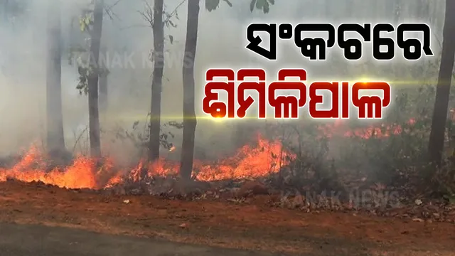 ଶିମିଳିପାଳ ପାଦଦେଶରେ ଲାଗିଛି ନିଆଁ । ନିଆଁ ଲିଭା କାମରେ ନିୟୋଜିତ ୧୦୫୦ ବନ କର୍ମଚାରୀ । କାଲି ସୁଦ୍ଧା ରିପୋର୍ଟ ମାଗିଲେ ସରକାର ।